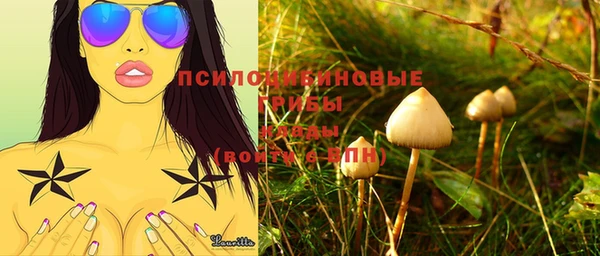 ECSTASY Алзамай