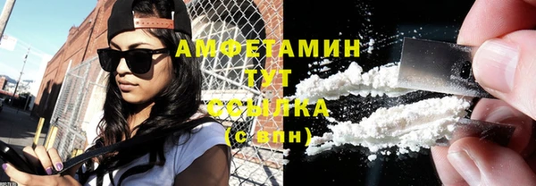 ECSTASY Алзамай