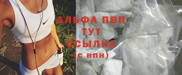 ECSTASY Алзамай