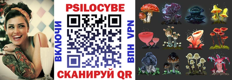 цены   Сосенский  Псилоцибиновые грибы прущие грибы 